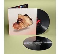 Fred Mann - In Thy Domain [VINYL]