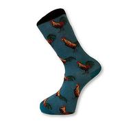 Frederick Thomas teal turquoise mens socks with cockeral chicken design secret santa of London fun, funky, colorful, wacky