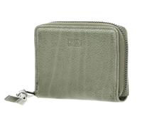 FREDsBRUDER My Old Friend Nugget Cactus, Cactus