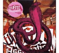 Free Association, The - Everybody Knows