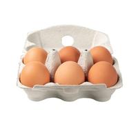 Free-Range Eggs - 24 Eggs in The Pack | Large Fresh Eggs from Free-Roaming Hens | Rich Yolks & High Quality Protein | Ideal for Breakfast, Baking & Everyday Cooking