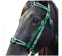 Free Size Equestrian Bridles, Multi-Color English Leather Horse Reins Accessories with 2 Rope for Outdoor Training Rider Harness Equipment Tool (green)