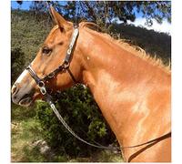 Free Size Equestrian Bridles, Multi-Color English Leather Horse Reins Accessories with 2 Rope for Outdoor Training Rider Harness Equipment Tool (black)
