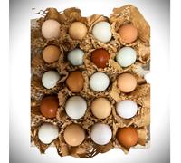 Free to Range Chicken/Hen Eggs (20)