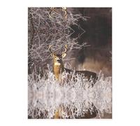 Free Whitetail Deer Crystal Sticker, 3D Stereoscopic Effect, Pattern Does Not Fall Off When Exposed to Water