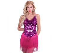 Freebily Womens V Neck Dance Dress Sparkling Sequins Ballroom Salsa Samba Rumba Tango Tassel Latin Dance Costume Rose One Size