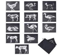 FREEBLOSS 12pcs Animal X-Ray Set Animal Skeleton Bricks Kit Funny Light Table Manipulatives for Little Ones, Storage Bag Includes, 11.7" x 8.3"