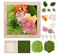 FREEBLOSS DIY Moss Wall Art Kit Preserved Moss Wall Art Succulent Plants Moss ArtsFrame Crafts for Adults Moss Art Frame Kit Home Decor Framed Wall Art Set DIY Wall Art Moss Art
