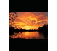 Freedom Begins Within: A 90-Day Devotional for the Incarcerated Individuals