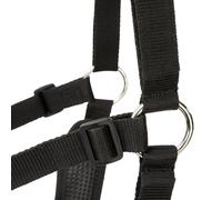 Freegraze Airflow Grazing Muzzle - Full · Black