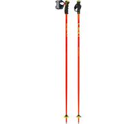 Freeride ski poles Leki Wyldbird TR