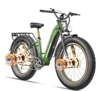 FREESKY Ranger Pro 200 Nm Dual Motor Electric Bike for Adults All-Terrain Ebike - 48V 25Ah Removable Battery, 26" Fat Tire Mountain E Bike with Hydraulic Brake,105Miles Long Range Electric Bicycle