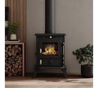 Freestanding Cast Iron Wood Burning Stove Fireplace