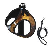 Freeway Highway Road In The Desert Print Adjustable Reflective Harness Leash Set For Cats, Dogs And Small Pets, Soft Breathable Mesh Walking Vest With Escape-Proof Lead