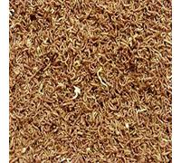 FREEZE DRIED BLOODWORM FOR ALL AQUATIC FISH (10g Pack)