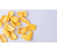 Freeze Dried Jackfruit - Natural, Sugar-Free Snack from Vietnam (56.7g)