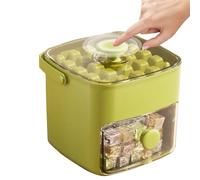 Freezer Tray with Lid, Large Capacity Ice Mould with Press Area, Portable PE Ice Maker for Indoor and Outdoor Use, Perfect for Family and Picnic Occasions