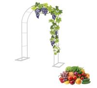 Freien Garden Arch, White Rose Trellis for Climbing Plants, Decorative Garden Arbor, Wedding Trellis, Balcony Arch, Various Sizes 120-250cm, W2.0 x H2.30m