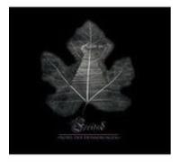 Freitod-Nebel Der Erinnerungen -Digi CD NEW