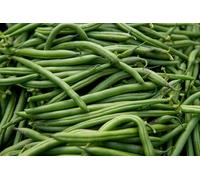 French Bean Climbing 'Blue Lake' by Country Value Vegetable Seeds