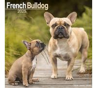 Avonside Publishing Ltd French Bulldog Calendar 2025 250745