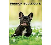French Bulldog 2026 Calendar, A3, Wirobound, Full Colour