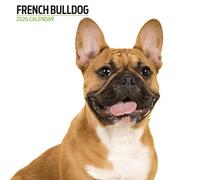 French Bulldog 2026 Modern Calendar