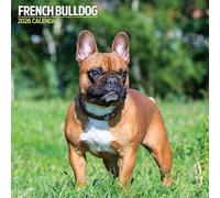 French Bulldog 2026 Traditional Calendar