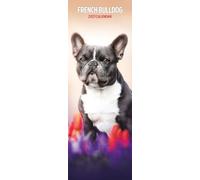 French Bulldog 2027 Slim Calendar