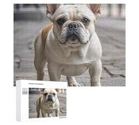 French Bulldog 500 Piece Jigsaw Puzzle for Adults Challenging Puzzles for Cognitive Workout Unique Shaped Jigsaw Puzzle Relaxing Gift Home Wall Decor