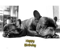 French Bulldog Dog Birthday Card