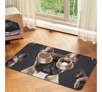 French Bulldog Dog Food Mats for Floors, 16x24 Inch Non-Slip Super Absorbent Pet Food Mat, Dishwasher Dog Mat for Food and Water, Cute Rubber Quick Dry Pet Feeding Mat for Dogs Puppy Cats