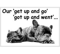 French Bulldog Dog Funny Fridge Magnet - Perfect Birthday or Christmas Gift