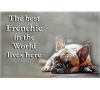 French Bulldog Dog Funny Fridge Magnet - Perfect Birthday or Christmas Gift