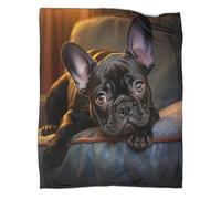 French Bulldog Fleece Blanket Soft Flannel Cozy Reversible Animals 3D Printed Throw Blanket for Kids Adults Digitally Printed Plush Solid Blanket for All Season Couch Sofa 80x90inch(200x230cm)
