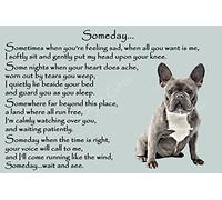 French Bulldog Frenchie Memorial dog pet loss Flexible Fridge Magnet - Someday