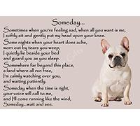 French Bulldog Frenchie Memorial dog pet loss Flexible Fridge Magnet - Someday
