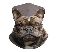 French Bulldog Headband Washable Headscarf Multifunctional Facial Decoration For Climbing Sports Tennis 25X50Cm