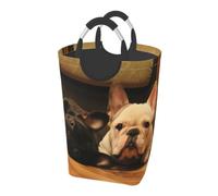 French Bulldog, Laundry Hamper, Collapsible Laundry Basket Large Durable Storage Bin with Handles 50L