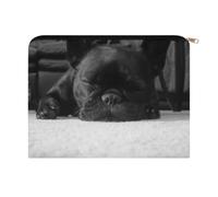 French Bulldog Multi Purpose Polyester Zipper Makeup Pouch Portable Cosmetic Storage Organiser Lightweight Toiletry Carry Bag for Holiday Overnight Stays Daily Essentials Storage