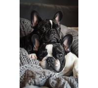 French Bulldog Notebook: For Frenchie Pups Mums And Dads