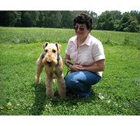 French Bulldog, Poodle, Airedale, Chihuahua, Labrador