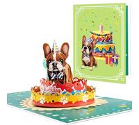 French Bulldog Pop Up Happy Birthday Greeting Card, love Gift for Adult and Kid with Blank Note & Envelope, Foldable Celebration for Daughter, Son, Mom, Dad, Friend, Children