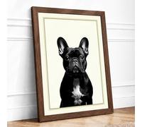 French Bulldog Portrait Modern Framed Wall Art Print A1 (84.1×59.4cm) Walnut, Wall Decor for Living Room, Bedroom, Office & Home, Ready to Hang, Art Gift