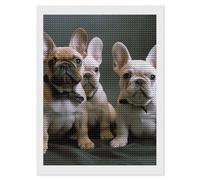 French Bulldog Puppies Diamond Art Kits for Adults 12"x16" DIY Diamond Painting Kit for Beginners Gem Art Painting with Round Full Drill Diamonds DIY Paint Paintings for Home Wall Decor Gift