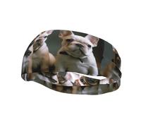 French Bulldog Puppies Sports Sweatband Head Bands for Women Men, Lightweight Breathable Non Slip Workout Headbands Hairband for Fitness Running Cycling Hiking Yoga
