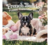 French Bulldog Puppy: 2026 Monthly Square Calendar | Animals Dog Breeds
