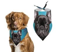 French Bulldog Puppy with Camera Dog Bandanas for Feeding Grooming, Triangle Pet Bibs Washable Pets Scarf for Cats & Dogs