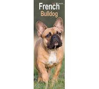 French Bulldog Slim