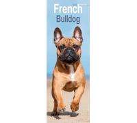 Avonside Publishing – Slimline Wall Calendar – French Bulldog Slim 2026 – Plastic-free packaging